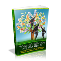 law attraction your wealth