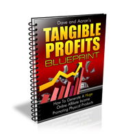 tangible profits blueprint