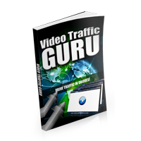 video traffic guru