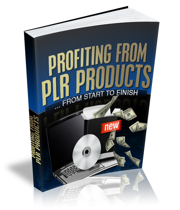 profiting plr products