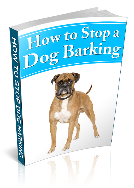 stop dog barking