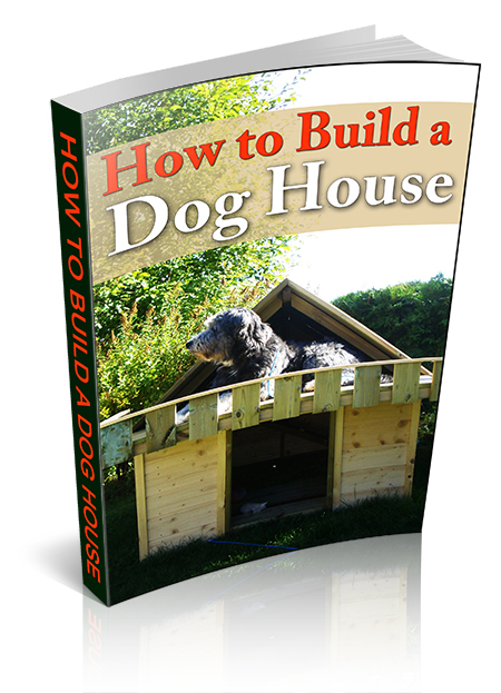 build dog house
