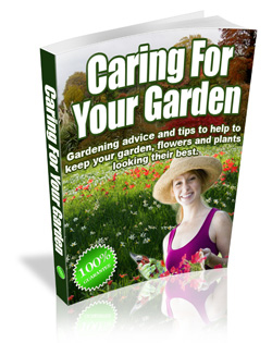 caring your garden