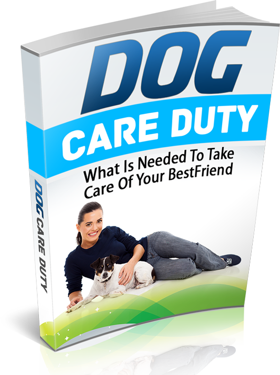 dog care duty