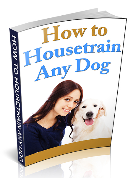 housetrain any dog