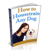 housetrain any dog