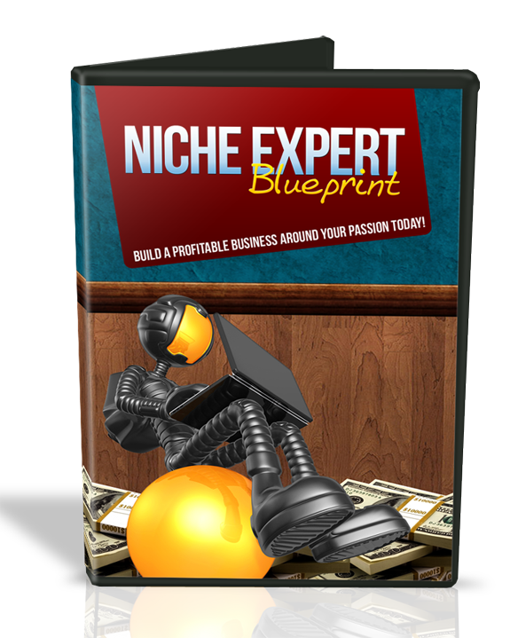 niche expert blueprint