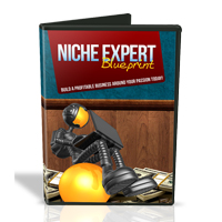 niche expert blueprint