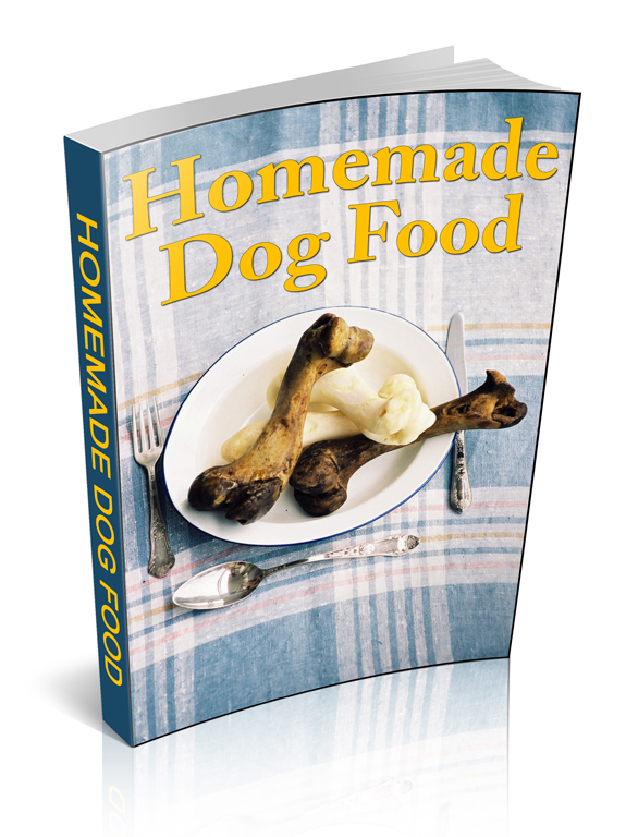 homemade dog food