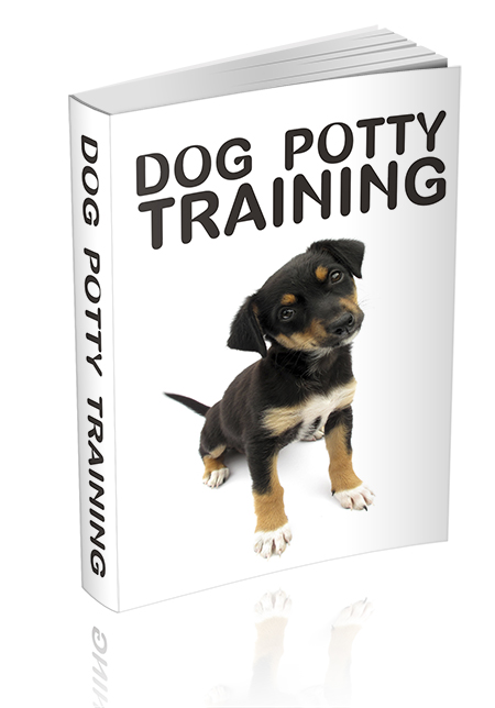 dog potty training