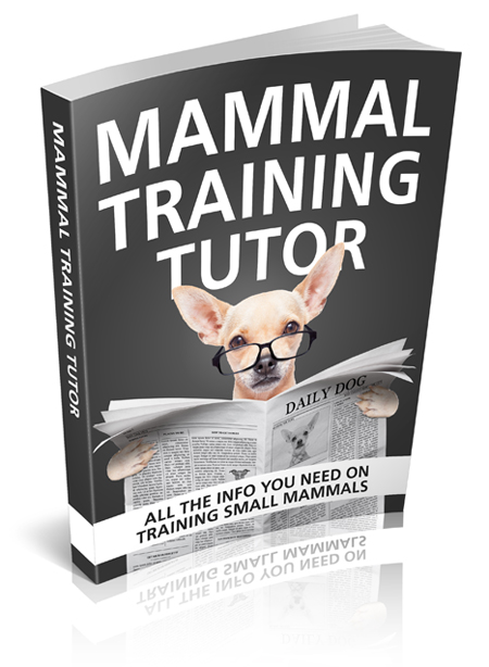 mammal training tutor