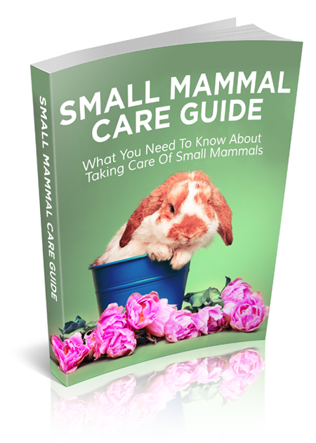 small mammal care guide