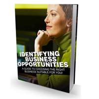 identifying business opportunities