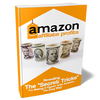 amazon affiliate profits