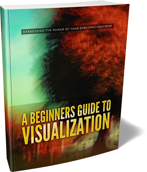 beginners guide visualization