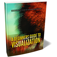 beginners guide visualization
