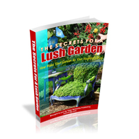 secrets lush garden