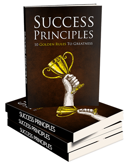 success principles