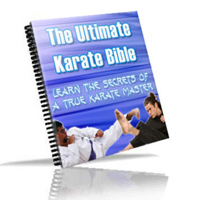 ultimate karate bible