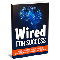 wired success