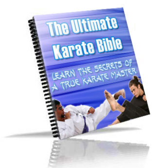 ultimate karate bible