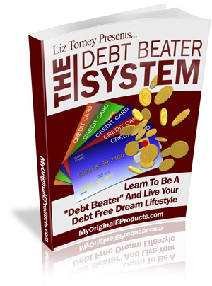 debt beater system