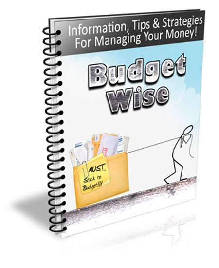 budget wise newsletter