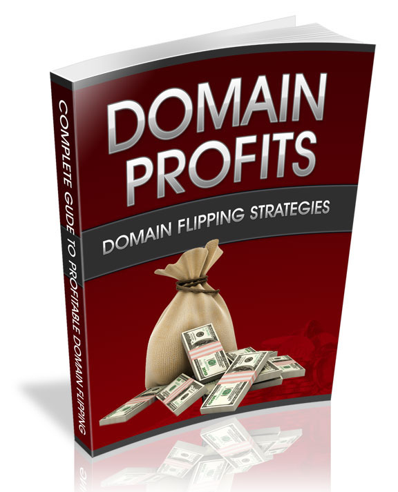 domain profits