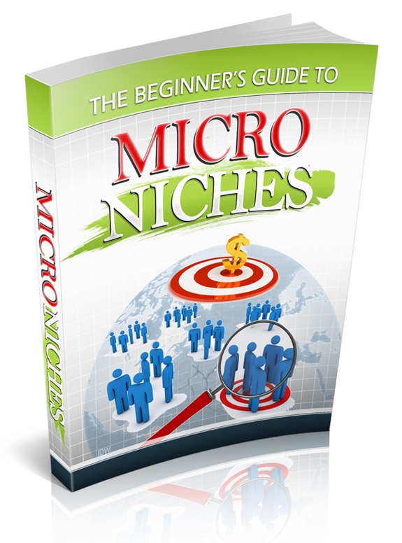 beginner guide micro niches