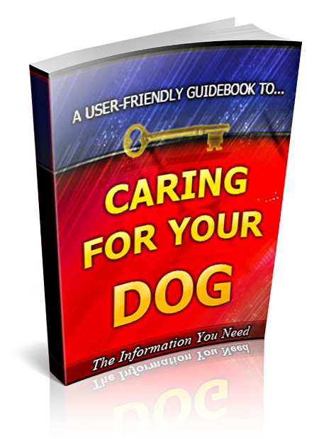 caring your dog