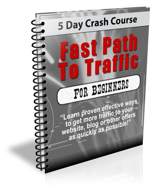 fast path traffic beginners