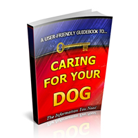 caring your dog