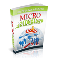 beginner guide micro niches
