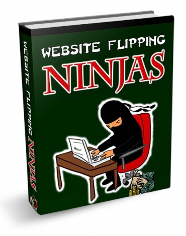 website flipping ninjas