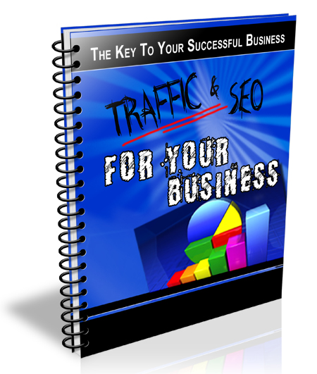 traffic seo your business