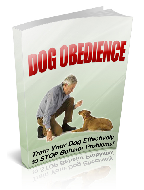 dog obedience