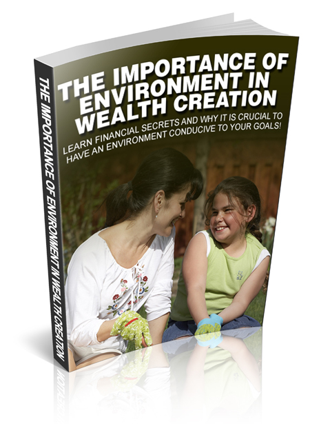 importance environment wealth creation