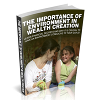 importance environment wealth creation