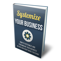 systematize your business