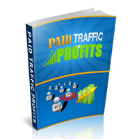 paid traffic profits