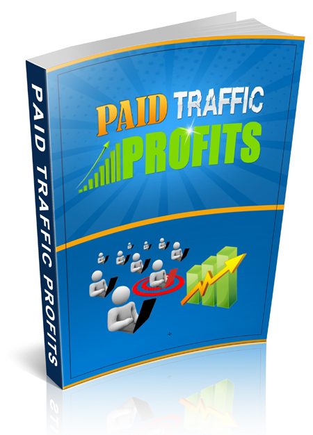 paid traffic profits