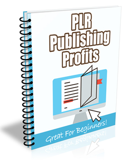 plr publishing profits