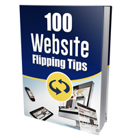 new hundred website flipping tips