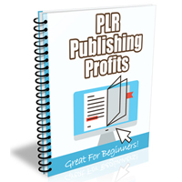 plr publishing profits