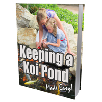 keeping koi pond