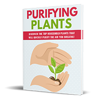 purifying plants