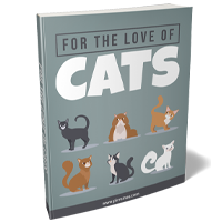 understanding your cat ebook