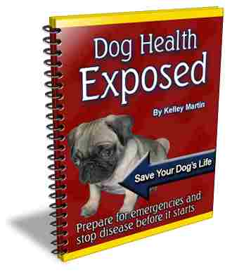 dog health exposed