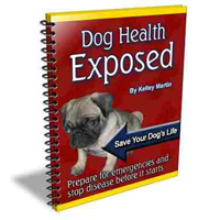 dog health exposed
