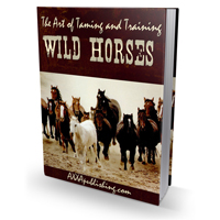 art taming training wild horses